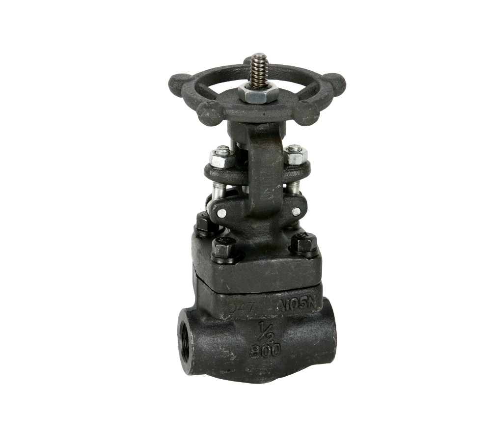 Válvula Esclusa Clase 800 NPT