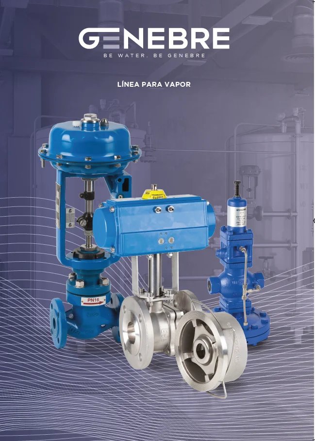 Manual Técnico de Vapor